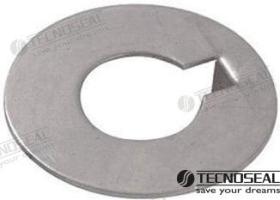 TD4 TEN00411R - ARANDELA INOX RADICE ZINC EJE 30
